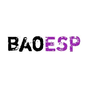 baoesp正版2.1.9