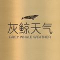 灰鲸天气安卓版app