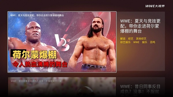 wwe大视界