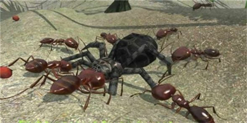3D蚂蚁模拟器中文