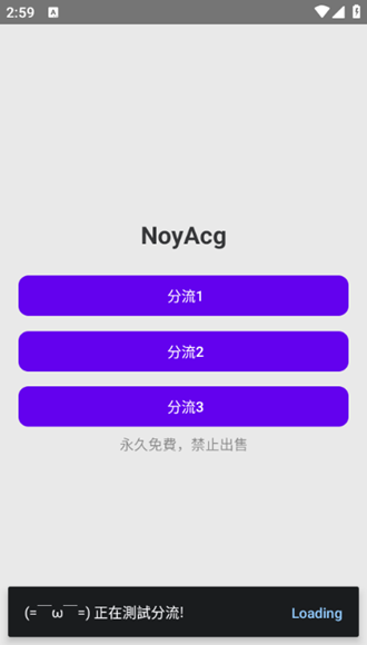 NoyAcg