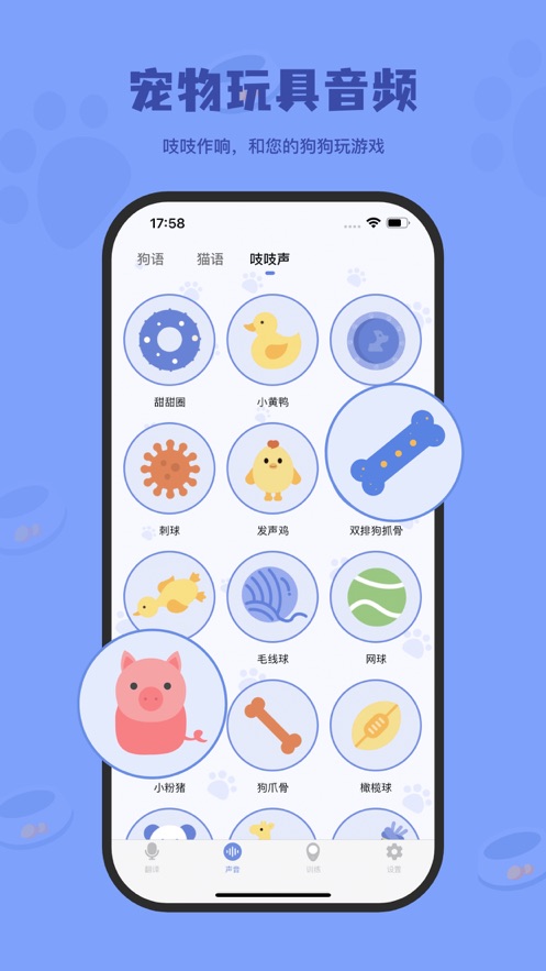 小白交流翻译app